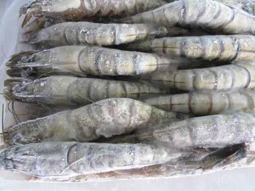 越南凍草蝦進(jìn)口報關(guān)手續(xù)及案例【干貨匯總】
